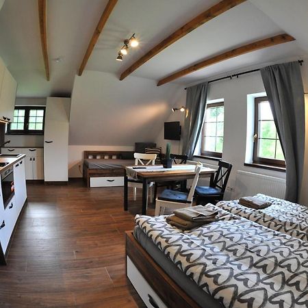 Apartmany U Fibichu Orlicke Zahori エクステリア 写真
