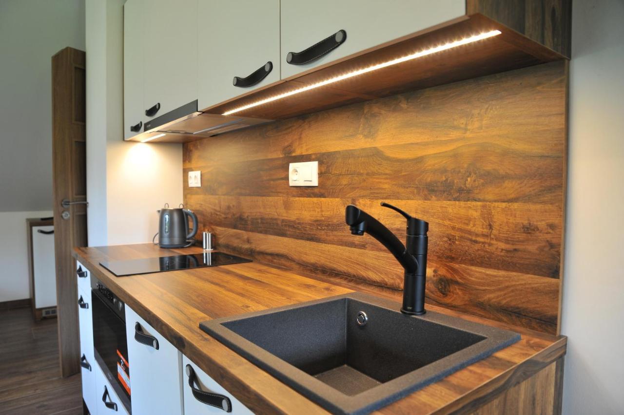 Apartmany U Fibichu Orlicke Zahori エクステリア 写真
