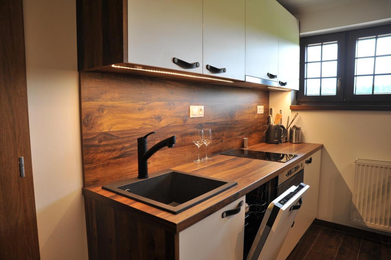 Apartmany U Fibichu Orlicke Zahori エクステリア 写真